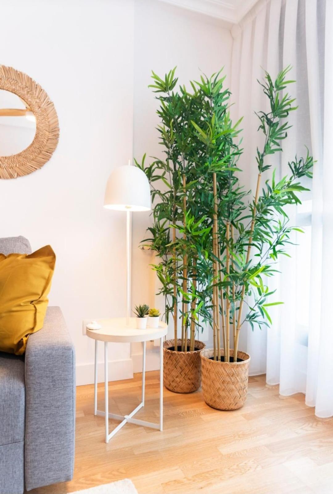 Apartamentos Rocamar กังกัส เด โอนิส ภายนอก รูปภาพ